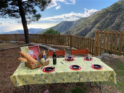 Picnic