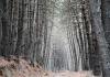 images/FotosQueHacer/QueHacer-6.jpg